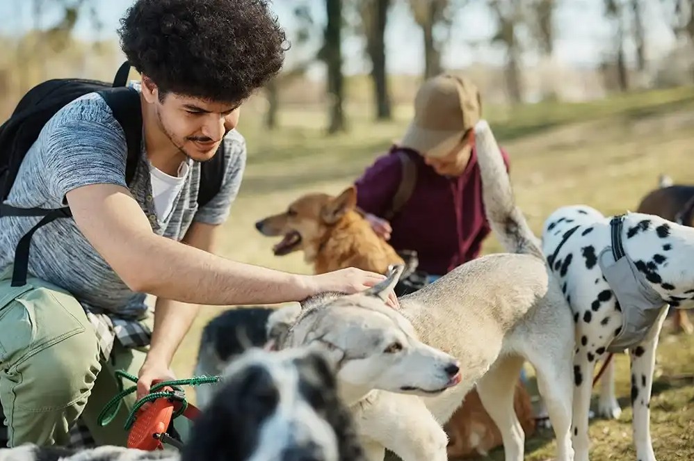 Man dog walking side hustle